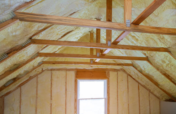 Best Insulation Inspection Services  in Double Springs, AL