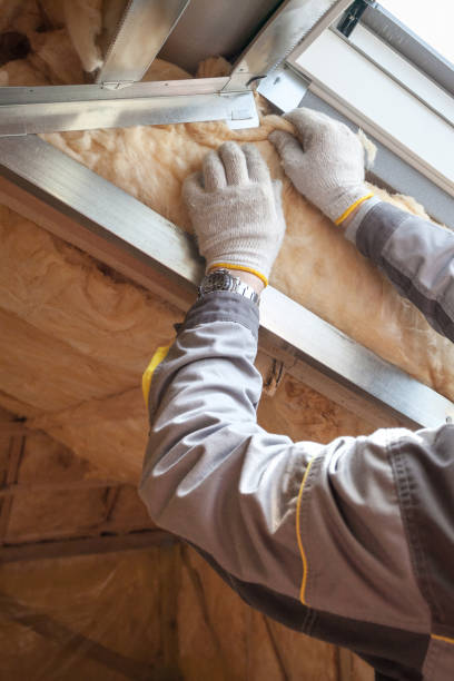 Insulation Replacement Services in Double Springs, AL